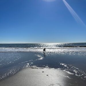 Meet your Posher, Caitlyn